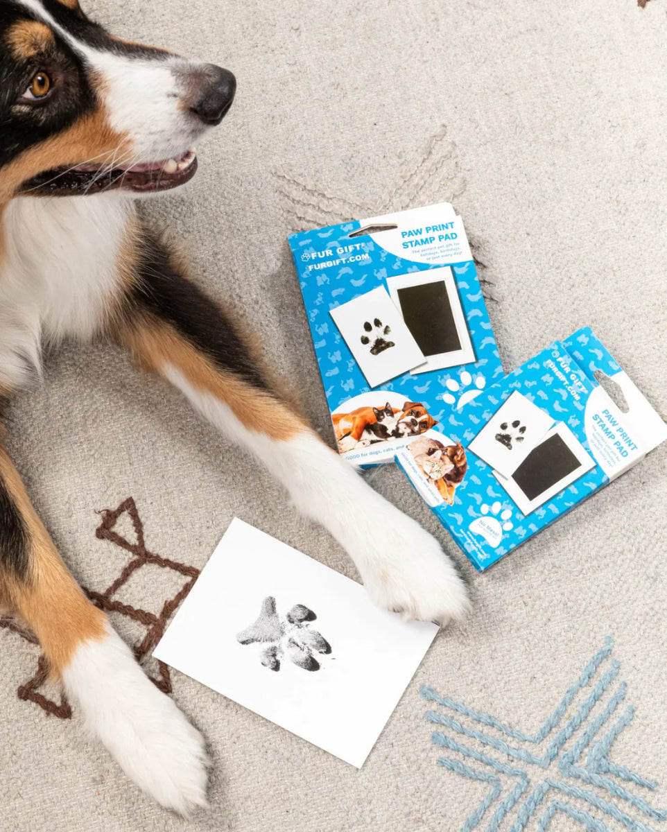 Pet Pawprint Kit For Dog Cat Dog Paw Print Pad Kit Clean - Temu